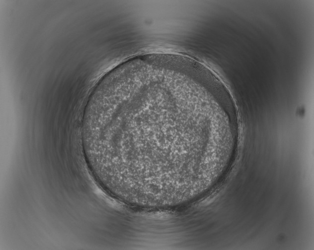 X0000115520433200911271326