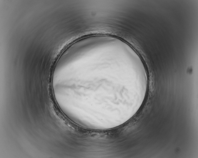 X0000115520434200911271326