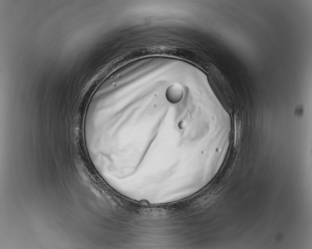 X0000115520435200911271326