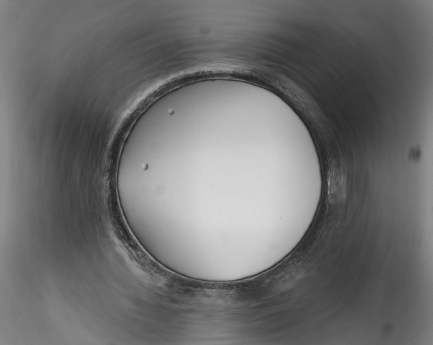 X0000115520436200911271326