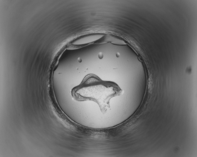 X0000115520438200911271326