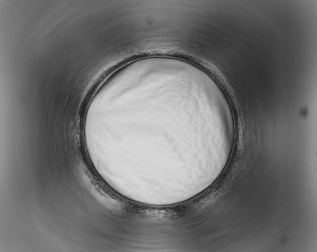 X0000115520439200911271326