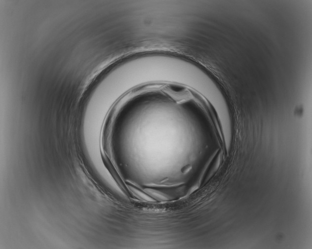 X0000115520440200911271326