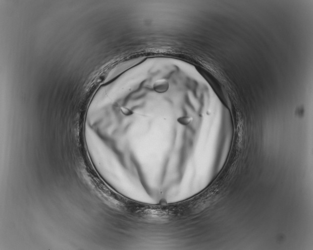 X0000115520442200911271326