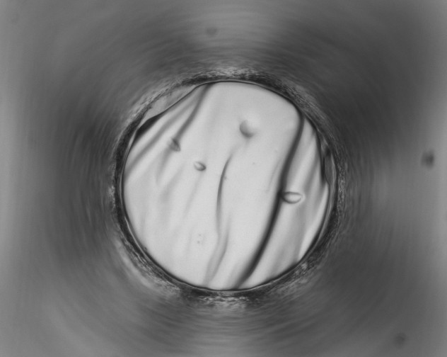 X0000115520443200911271326