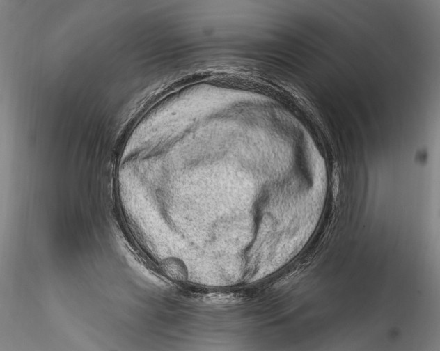 X0000115520445200911271326