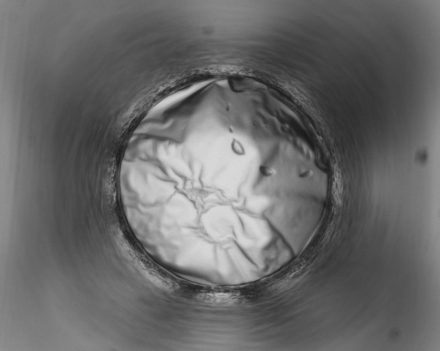 X0000115520449200911271326