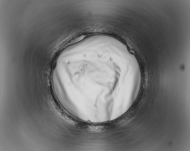 X0000115520450200911271326