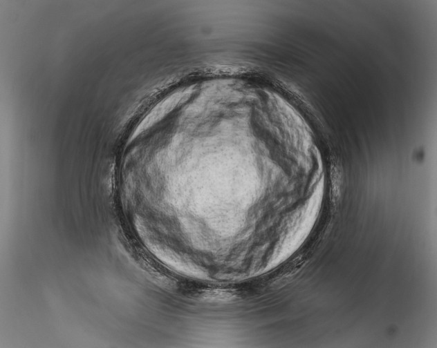 X0000115520451200911271326