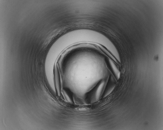 X0000115520452200911271326