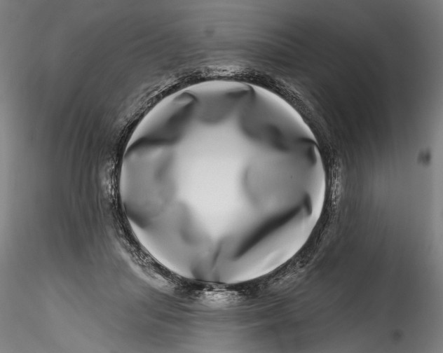 X0000115520455200911271327