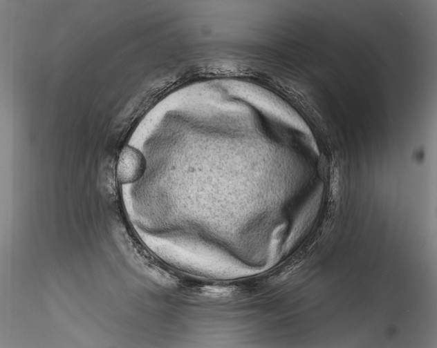 X0000115520457200911271327