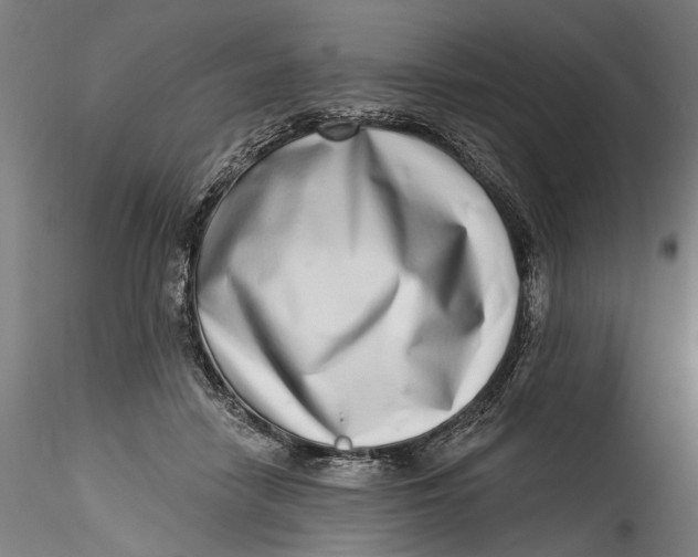 X0000115520458200911271327