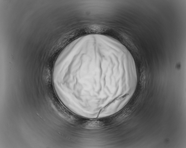 X0000115520459200911271327