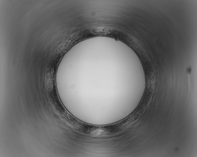 X0000115520460200911271327