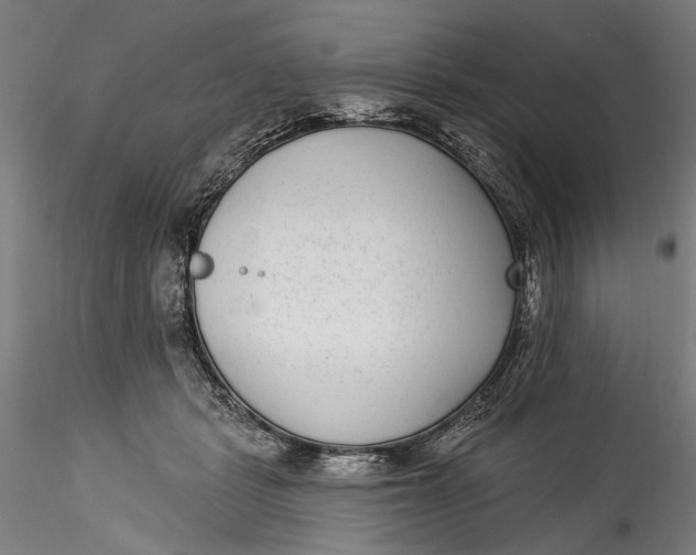 X0000115520461200911271327