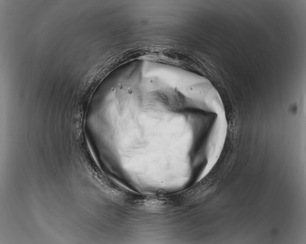 X0000115520462200911271327