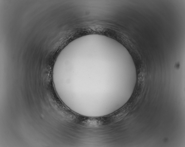 X0000115520464200911271327