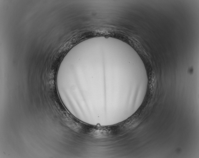 X0000115520466200911271327