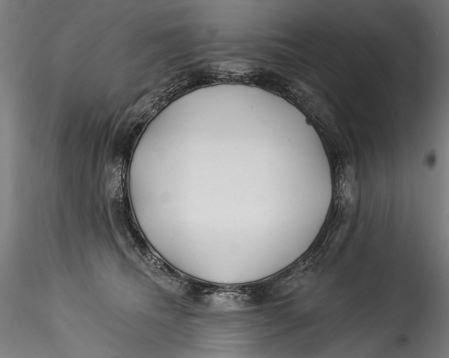 X0000115520468200911271327