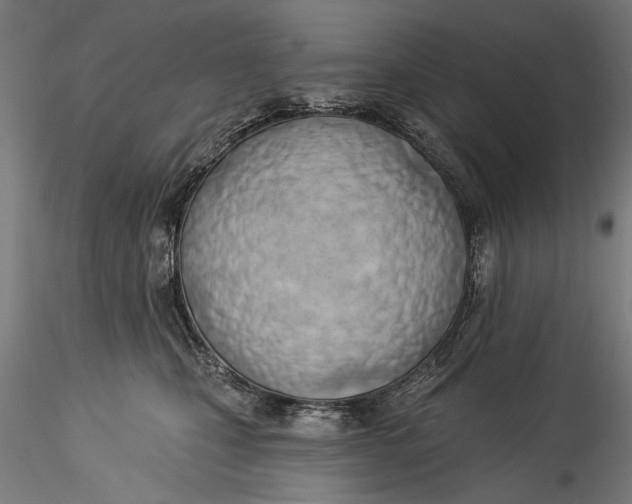 X0000115520471200911271327