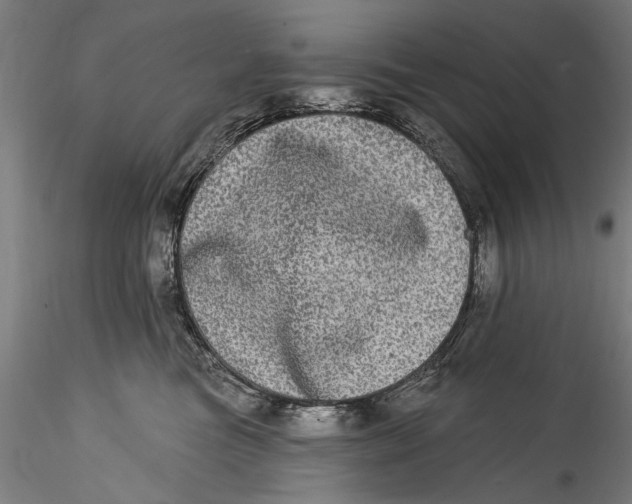 X0000115520473200911271327