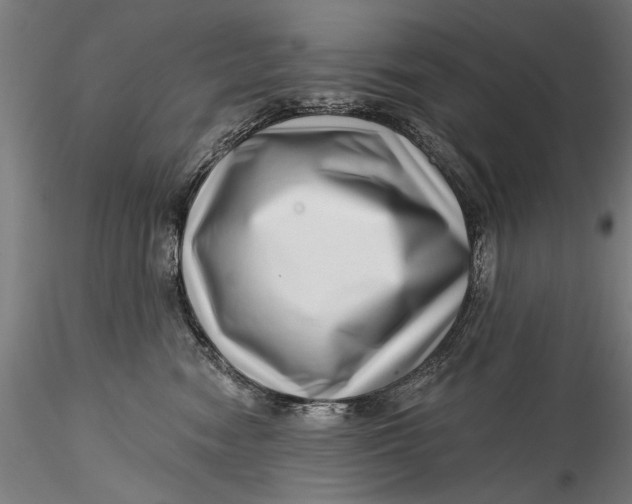 X0000115520474200911271327