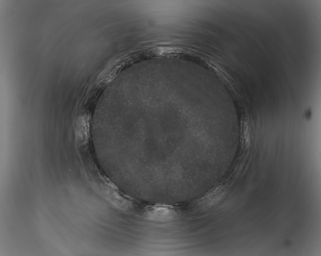 X0000115520475200911271327