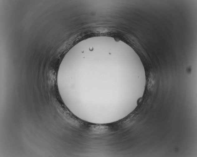 X0000115520476200911271327