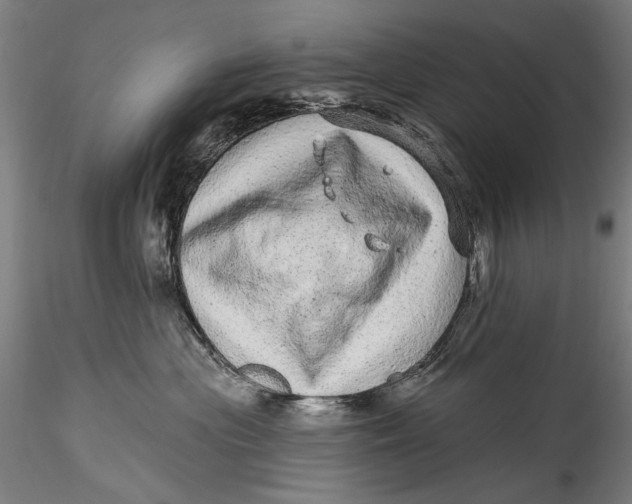 X0000115520477200911271327