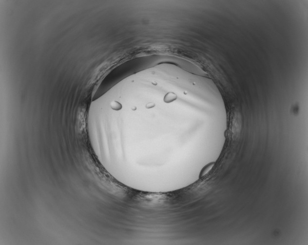 X0000115520478200911271327