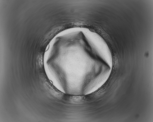 X0000115520479200911271327