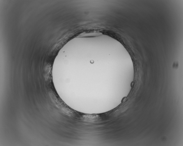 X0000115520480200911271327