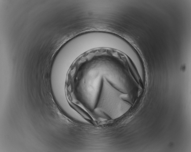 X0000115520481200911271326