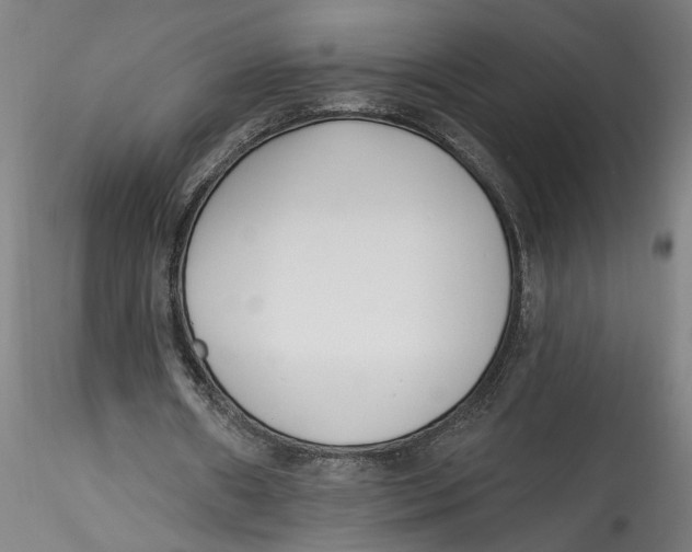 X0000115520482200911271326