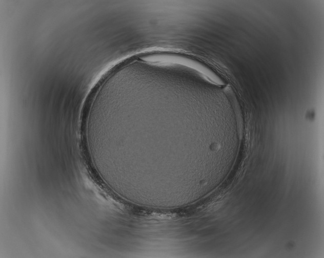 X0000115520484200911271326