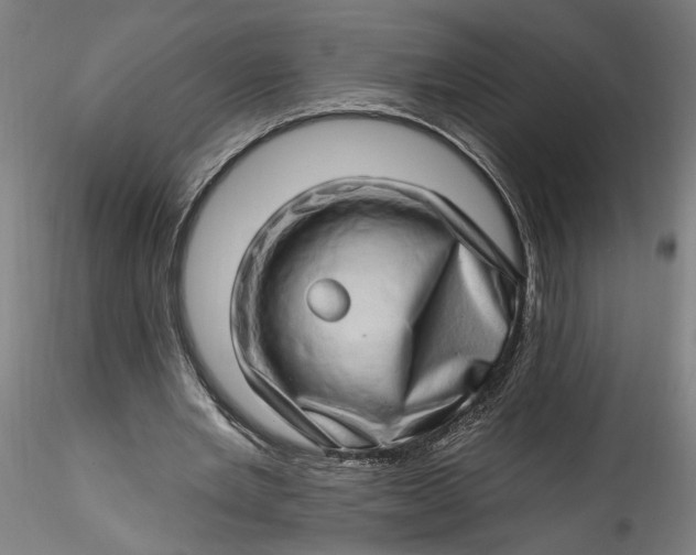 X0000115520485200911271326