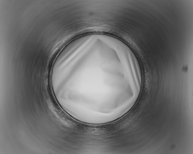 X0000115520486200911271326