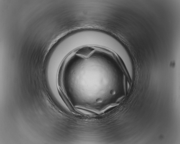 X0000115520488200911271326