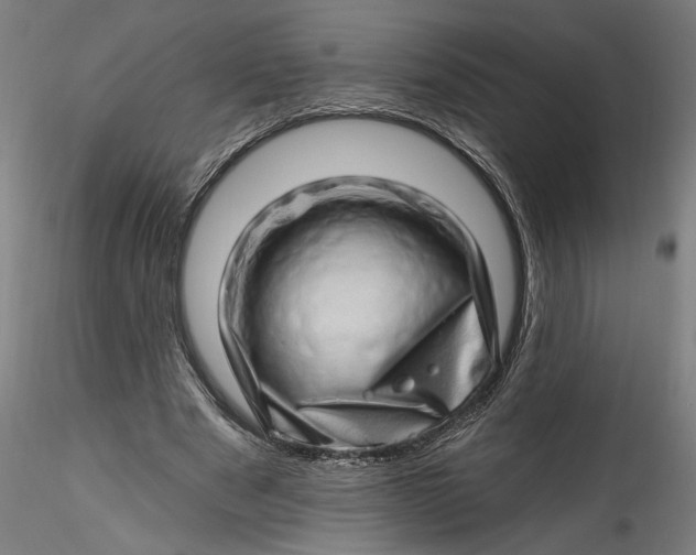 X0000115520489200911271326