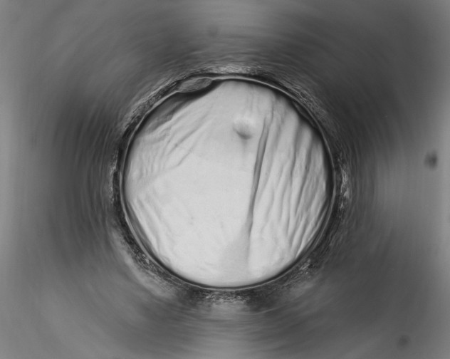 X0000115520491200911271326