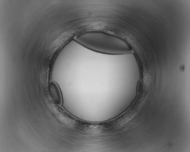 X0000115520493200911271326