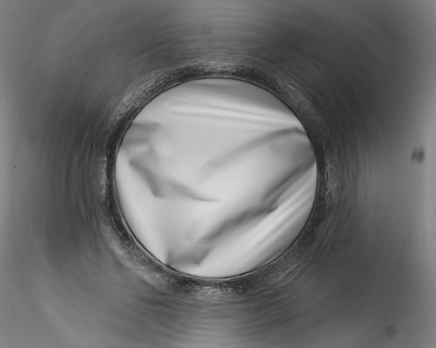 X0000115520494200911271326