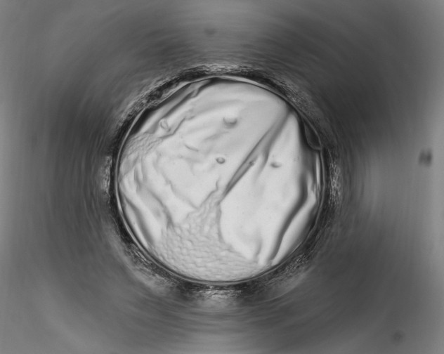 X0000115520495200911271326