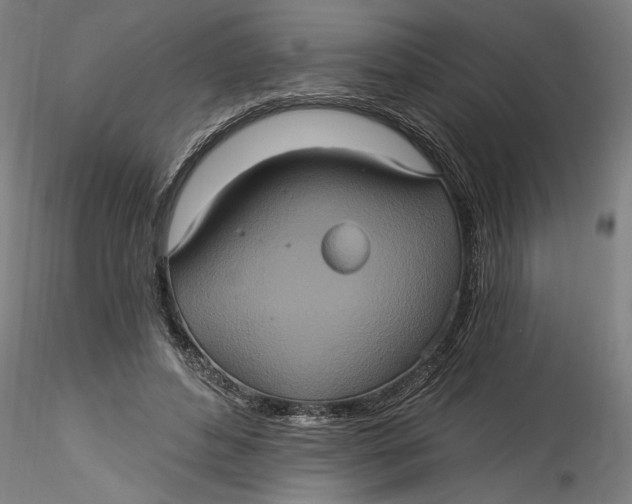 X0000115520496200911271326