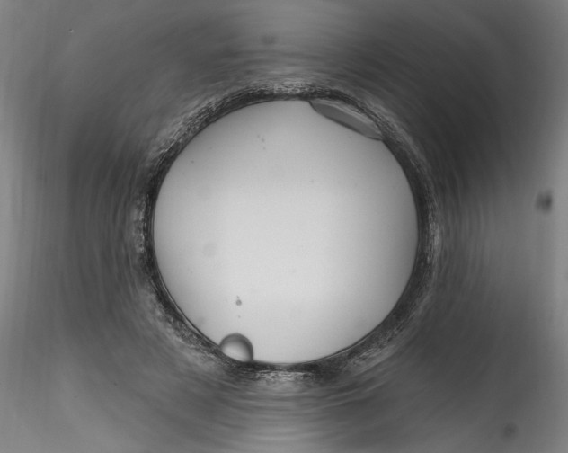 X0000115520497200911271326