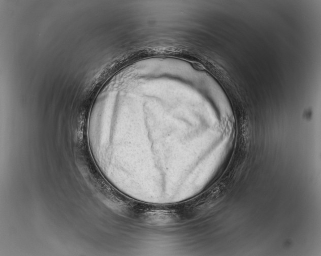 X0000115520499200911271326