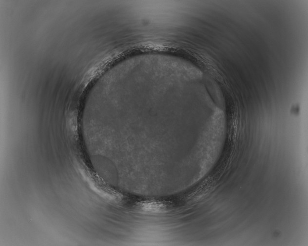 X0000115520500200911271326