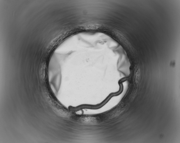 X0000115520501200911271326