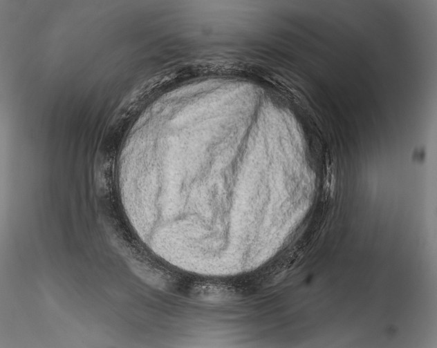 X0000115520503200911271326